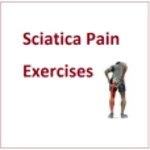 Logo of Sciatica Pain Exercises android Application 